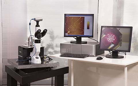 Bio AFM