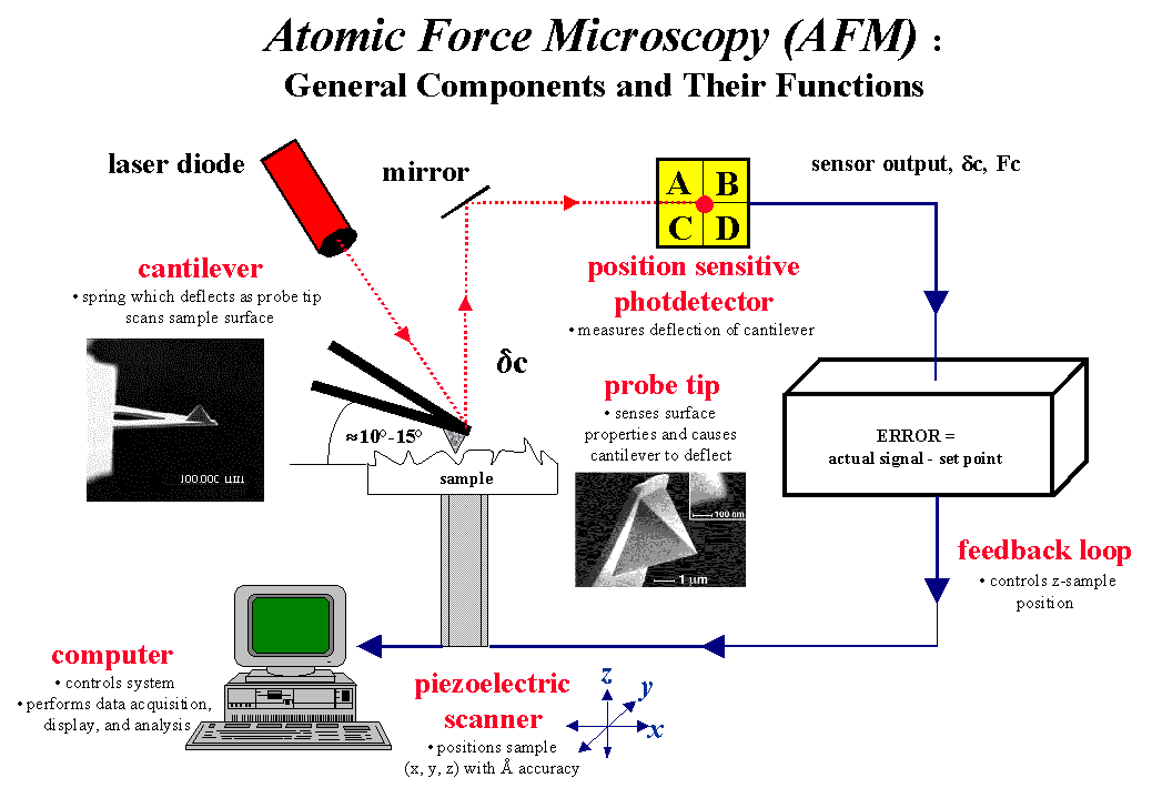 عملکرد میکروسکوپ نیروی اتمی 