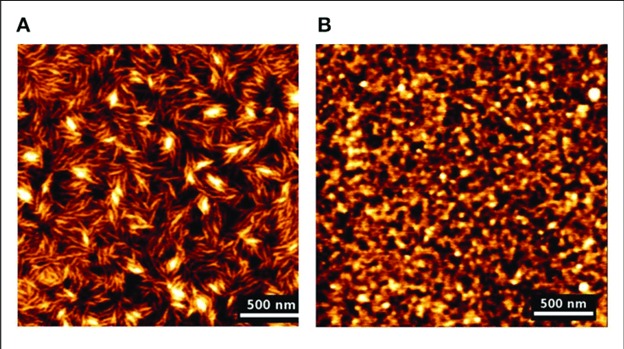 نانو فیلم های سلولزی به عنوان رابط های زیستی