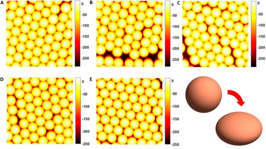 Shape Deformation in Ion Beam Irradiated Colloidal Monolayers