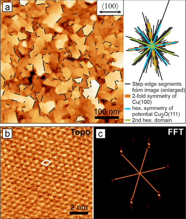 Potential-Dependent Morphology of Copper Catalysts During CO2 Electroreduction Revealed by In Situ Atomic Force Microscopy